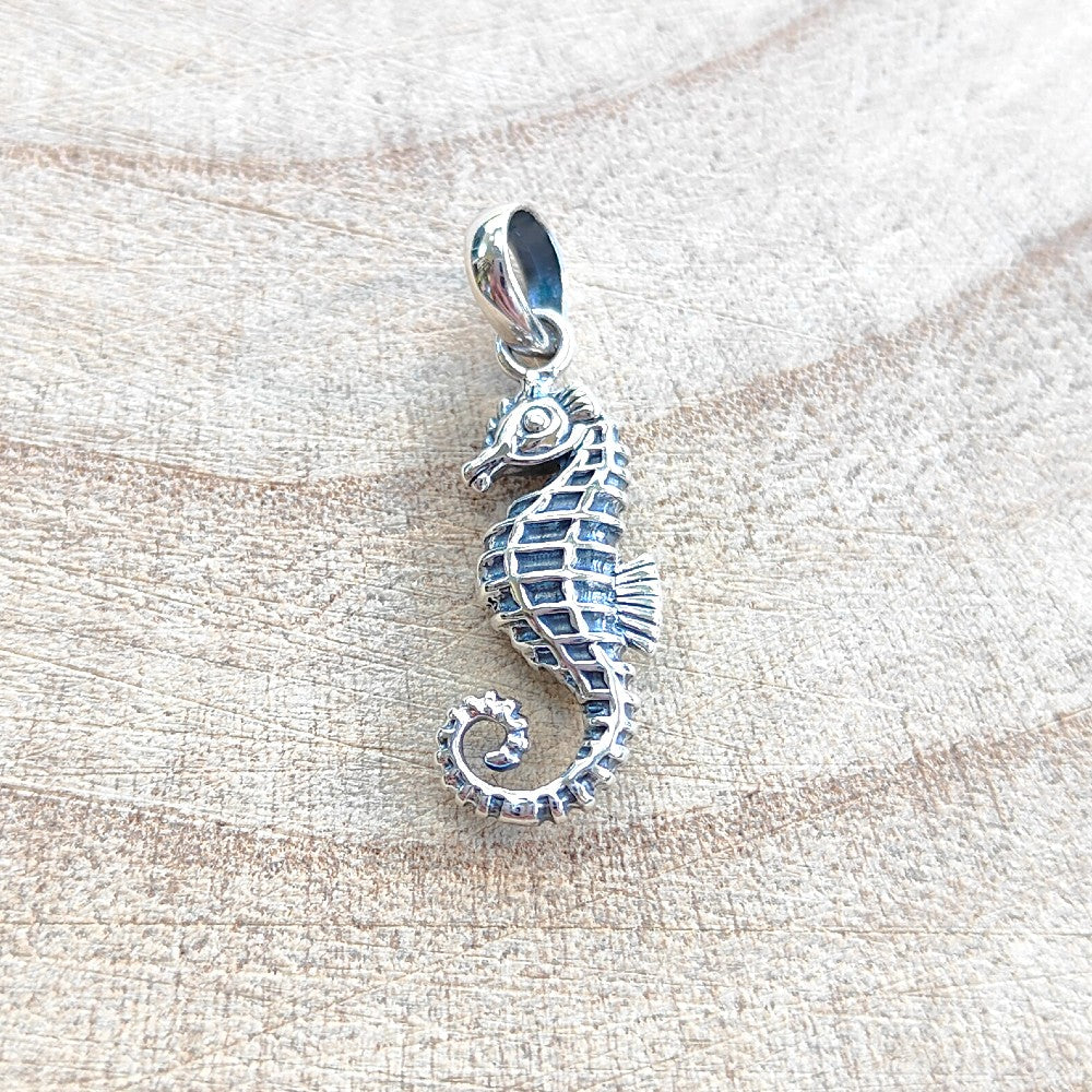 LONYOO Emaille Leuke Zeepaardje Ketting Hanger Zinklegering Oceaan Hippocampus Trendy Ketting voor Vrouwen Meisjes Geschenken, Medium, Zink Emaille, Geen edelsteen LONYOO Emaille Leuke Zeepaardje Ketting Hanger Zinklegering Oceaan Hippocampus Trendy Ketting voor Vrouwen Meisjes Geschenken, Medium, Zink Emaille, Geen edelsteen