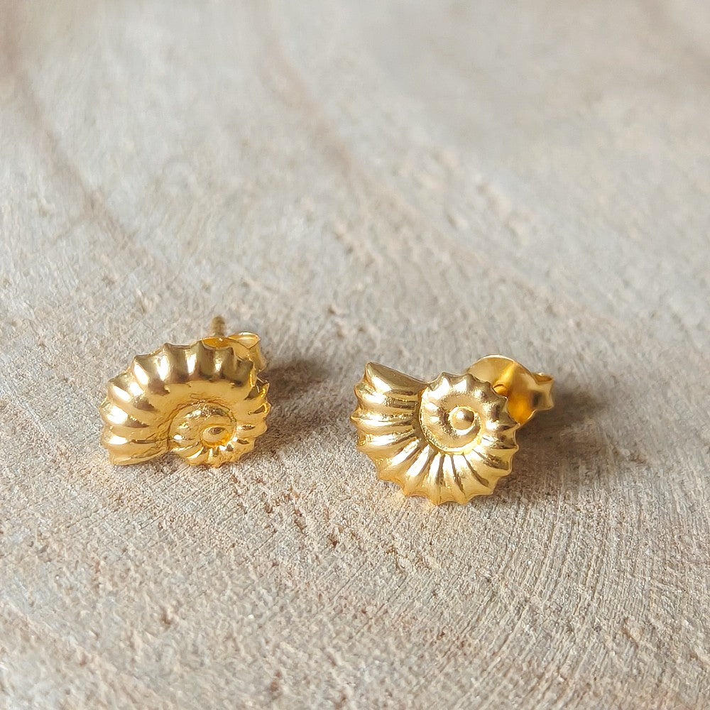 ammoniet oorknopjes goldplated