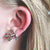 ear climber gecko