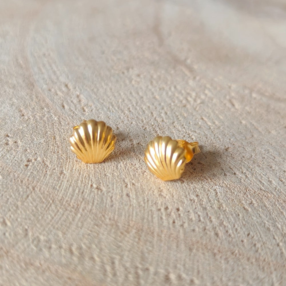 oorknopjes schelp goldplated