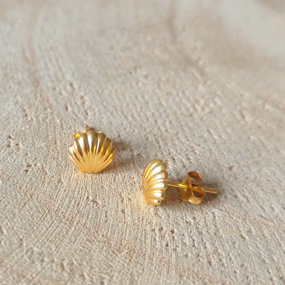 oorknopjes schelp goldplated