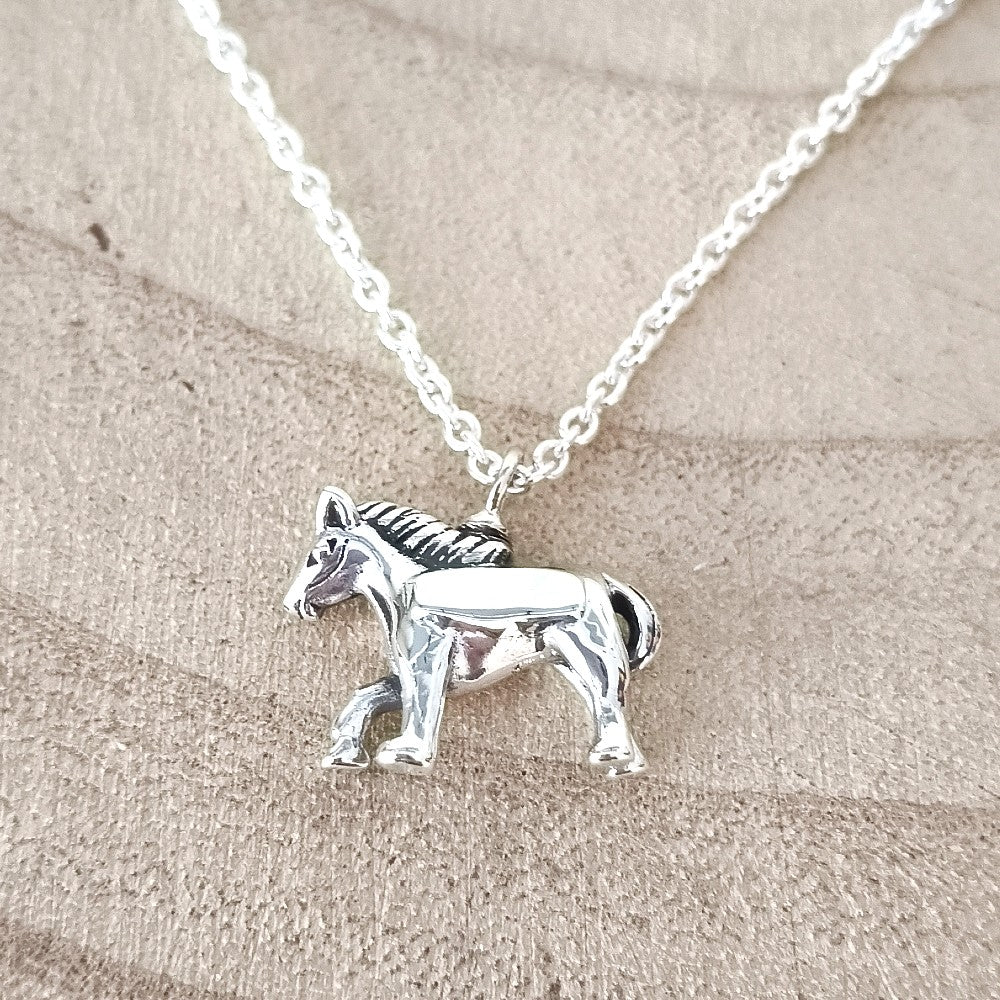 assieraad paard