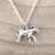 assieraad paard