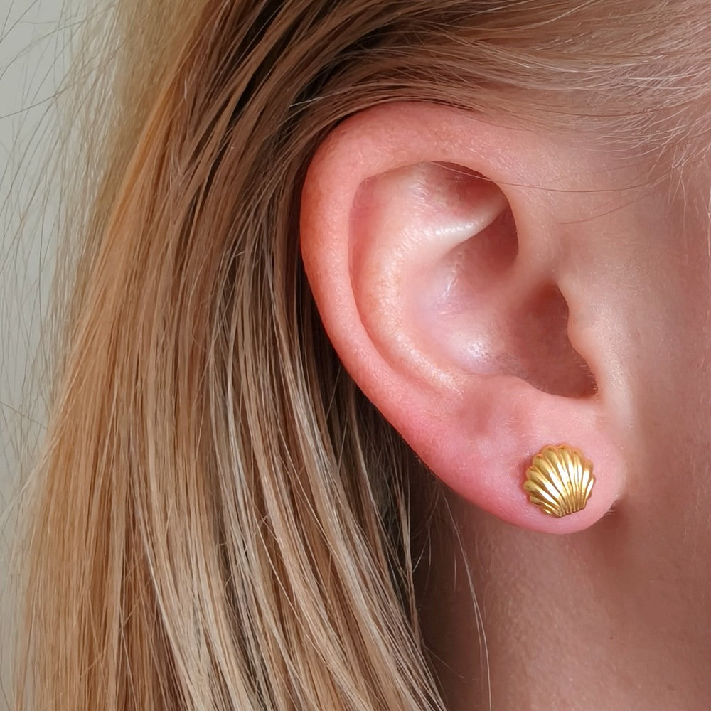 schelp oorknopje goldplated
